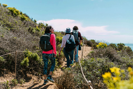 The Joys of Hiking with Friends: Strengthening Bonds Outdoors