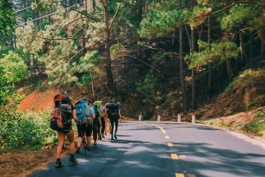 Organizing a Group Hike: Tips for a Successful Day Out