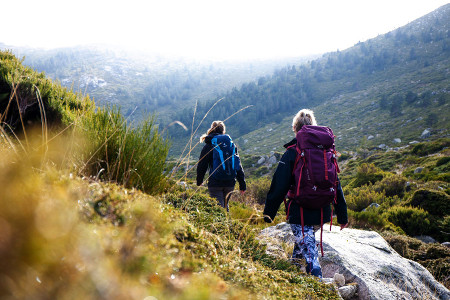 The Physical Benefits of Regular Short Hikes
