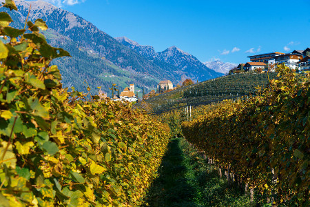 How to Combine Hiking with Local Cuisine on Your Day Trip